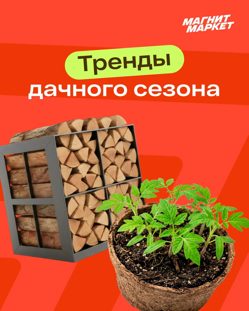 🌿 Тренды дачного сезона