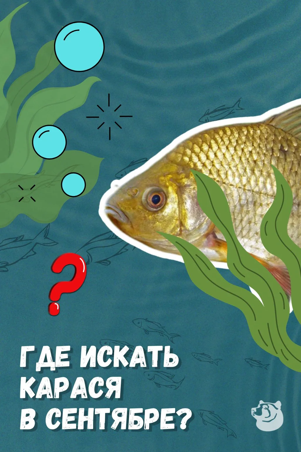 ☀️ Сентябрь балует теплом - значит, тактика ловли почти не отличается от августовской. ...