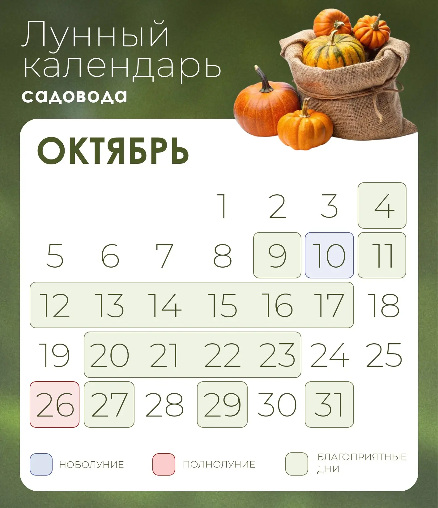 🍂Октябрь — пора завершать садовые хлопоты и надёжно готовить участок к зиме🌙