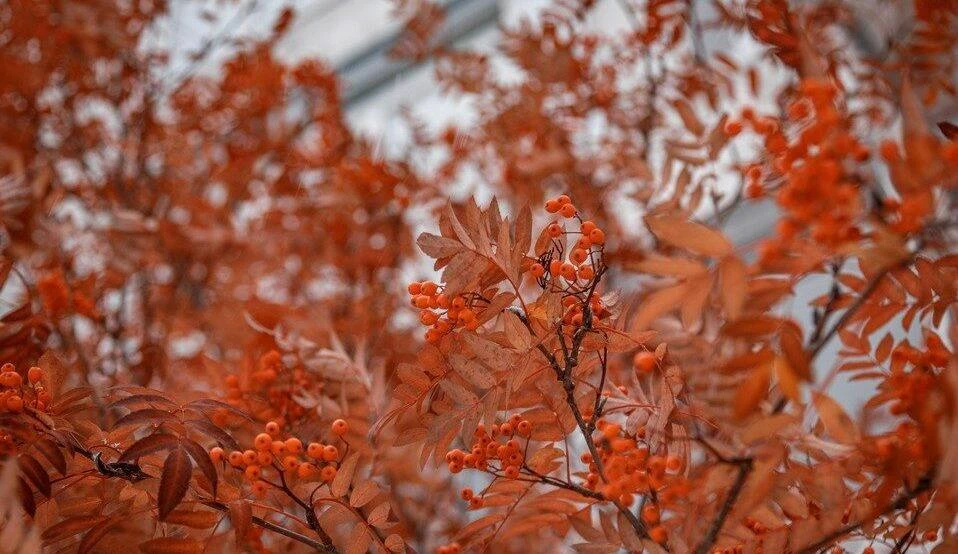 🌨Халлаан туруга