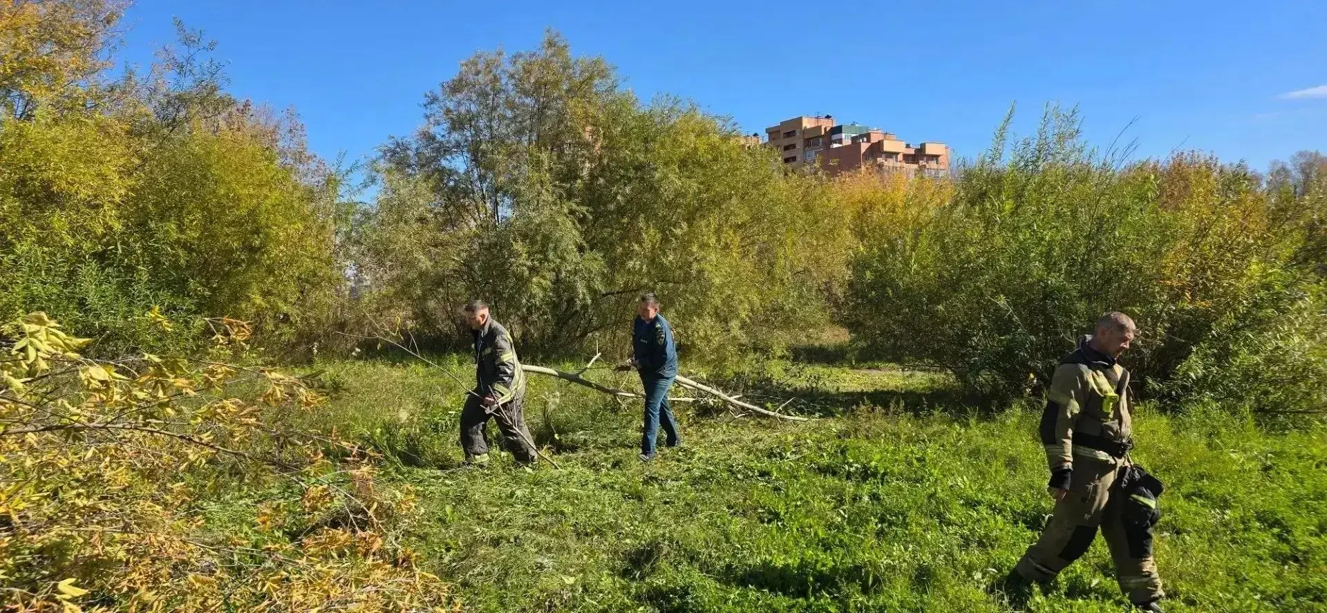 🍂 В иркутском Академгородке прошёл субботник