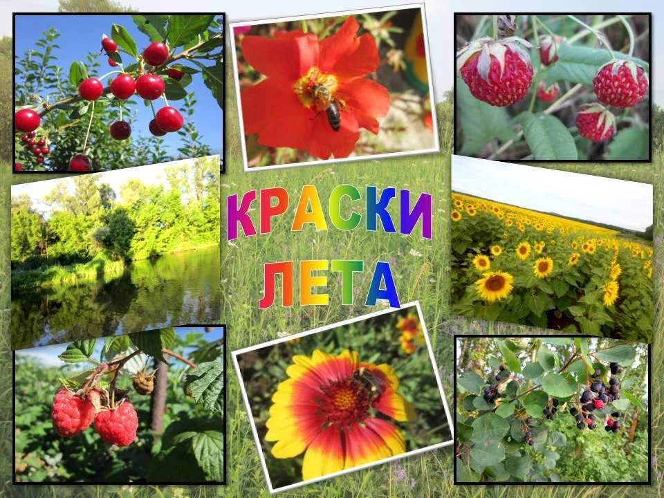 Наш фотоконкурс "Яркие краски лета" продолжается до 31 августа🌟 Присылайте свои  фотографии летнего