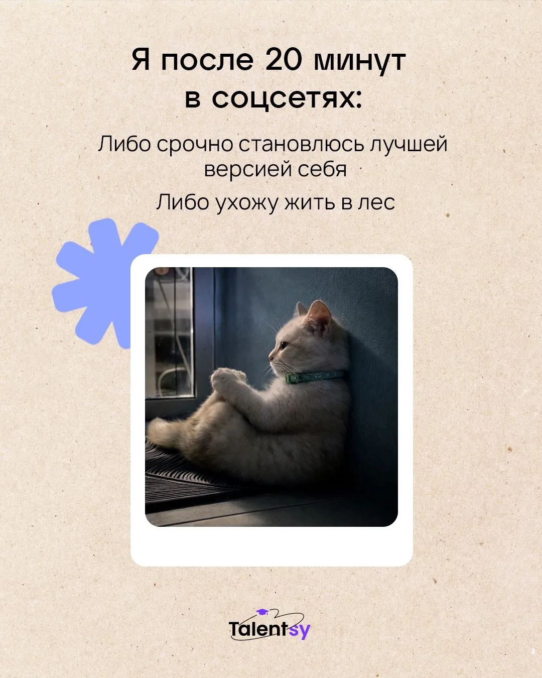 📋 «Новая жизнь начинается с понедельника»