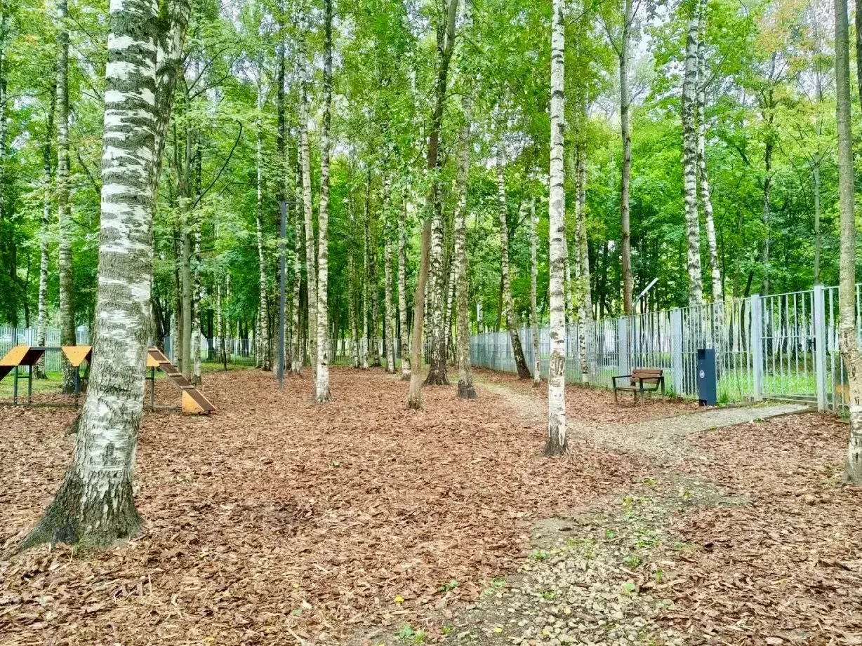 Парки Лобни тоже готовятся к осени 🍂
