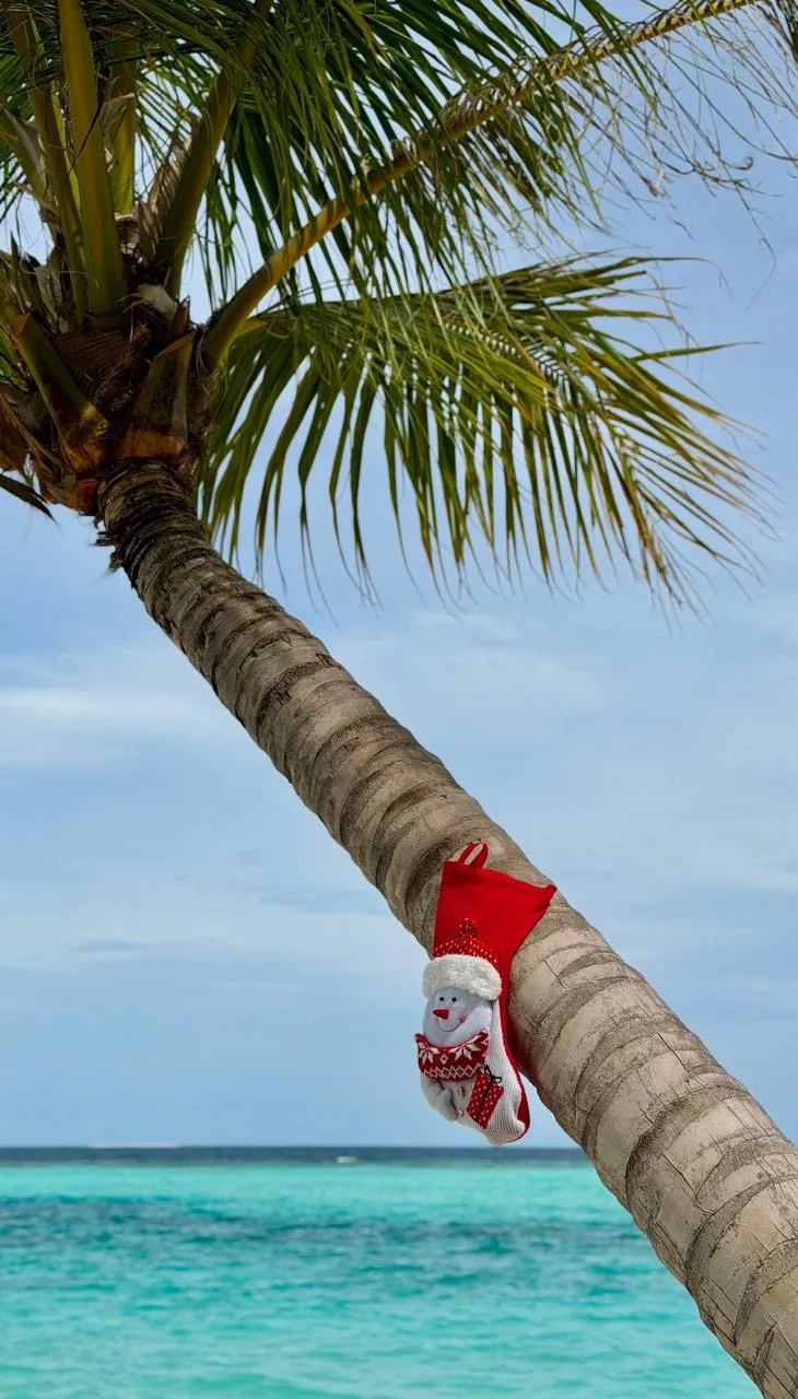 Новый год на Пхукете🌴🇹🇭