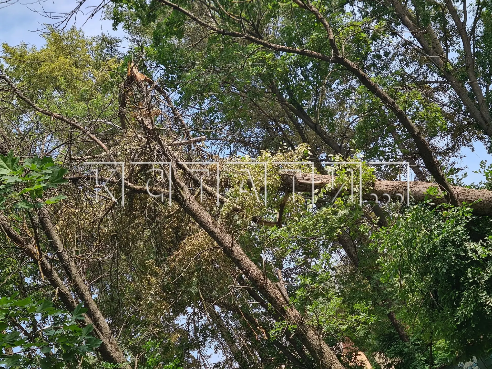 Последствия урагана до сих остались в нижегородских дворах 

«Бекетова 54б. После урагана неубирают.