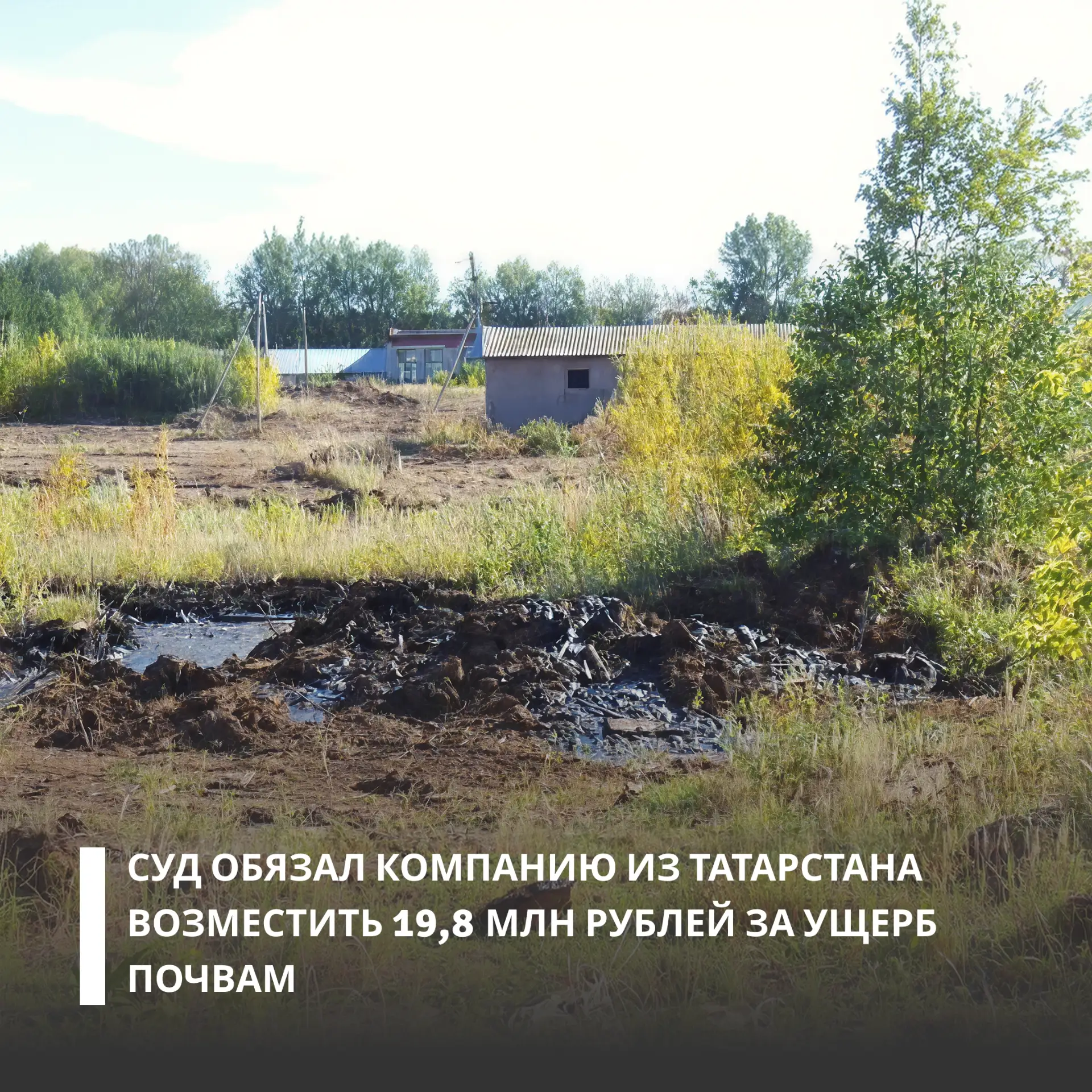 Изображение 1 к публикации «Росприроднадзор. Экология - дело каждого!»