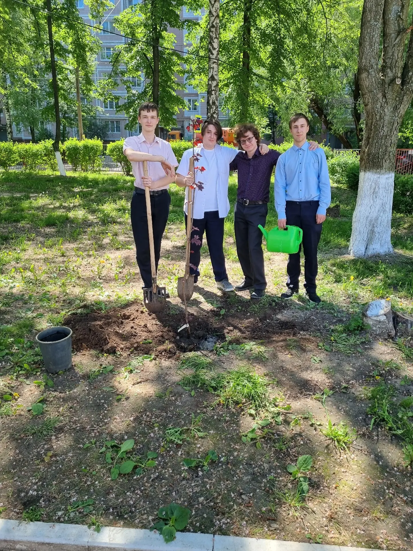 🌲 Сегодня наши выпускники вместе с активистами Движения Первых высадили сосны на аллею...