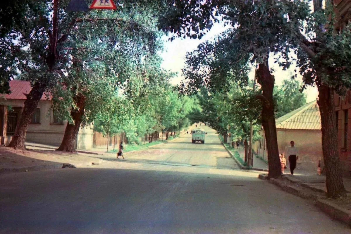 Воронеж в прошлом. Улица Сакко и Ванцетти, 1969 год — уютный городской уголок: тенистая...