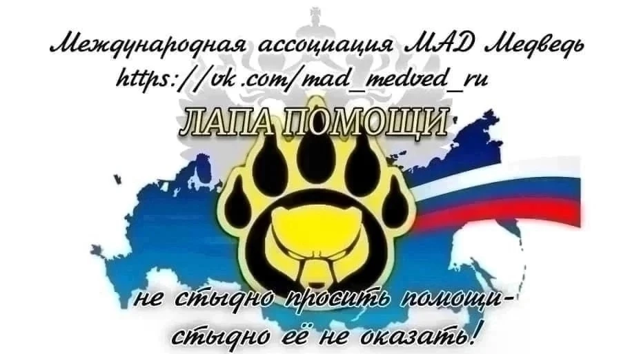 11 сентября на платке м12 1216км ( около Дюртюли) сгорел полуприцеп, тягач Мерседес смо...