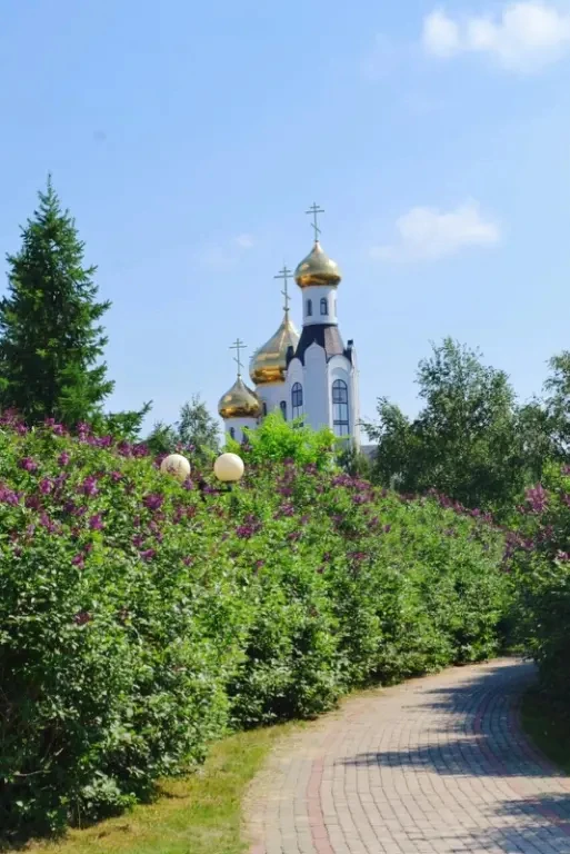 🌱☀️Какая фраза из детства всплывает в голове каждое утро? Например: «вставай, проспишь!»

Фото: Л