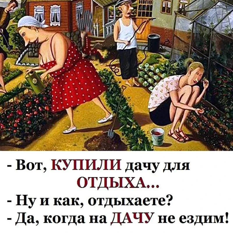 🌤 Доброе утро, Выборгский!