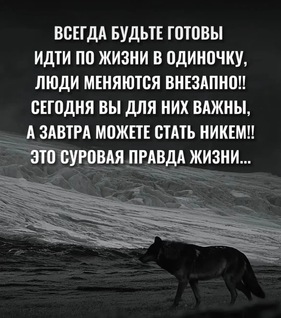 Цитаты ☺️