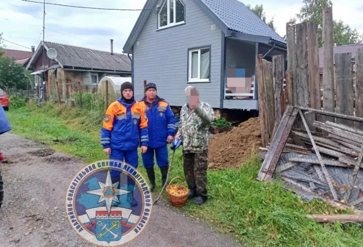 Мужчина потерялся в лесу в Приозерском районе