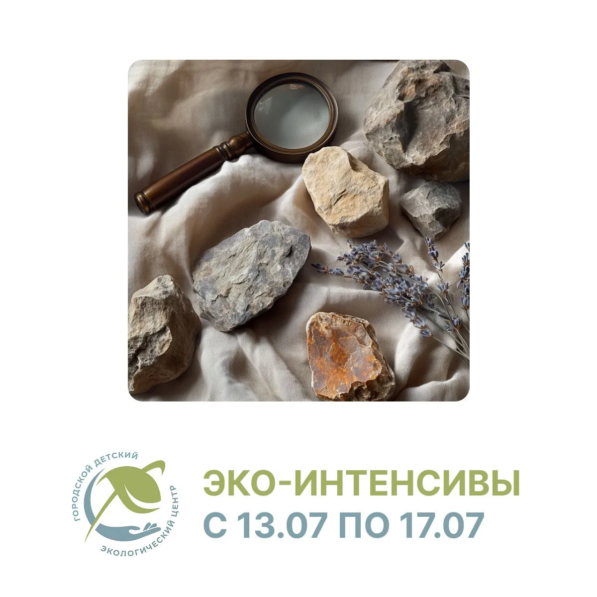 🌏 Городской детский экологический центр приглашает ребят с 7 лет на «Летний экологический интенсив»