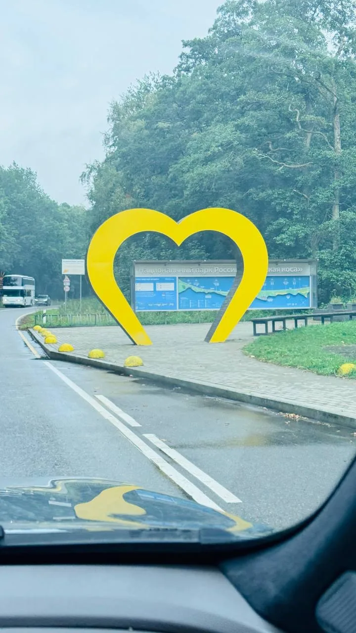 Если вы приезжаете в Калининград впервые, Куршскую косу  точно стоит включить в маршрут.