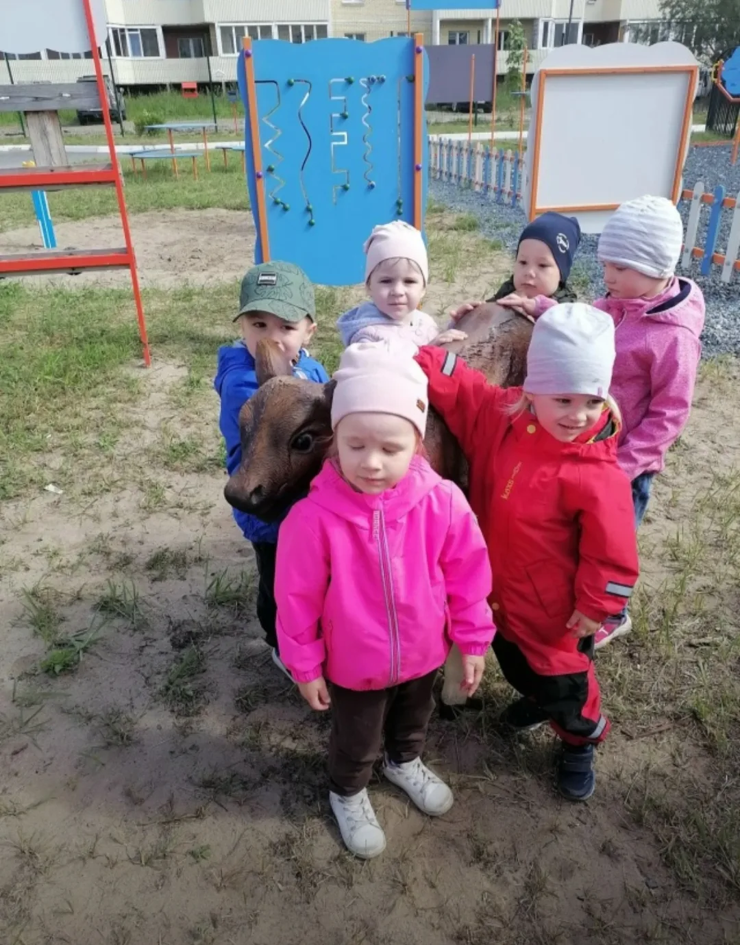 🍀Что может быть лучше для дошкольника, чем день, проведенный на природе?

Наша сегодняшняя экскурси