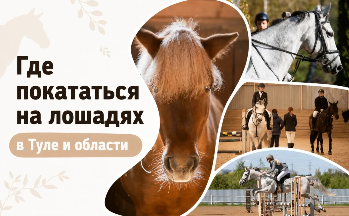 Где покататься на лошадях в Туле и области: подборка от Myslo

С нынешними ценами на бензин невольно