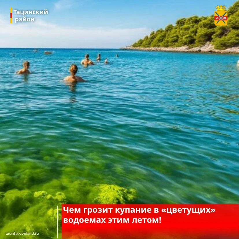 Опасность «цветущей» воды: будьте осторожны!