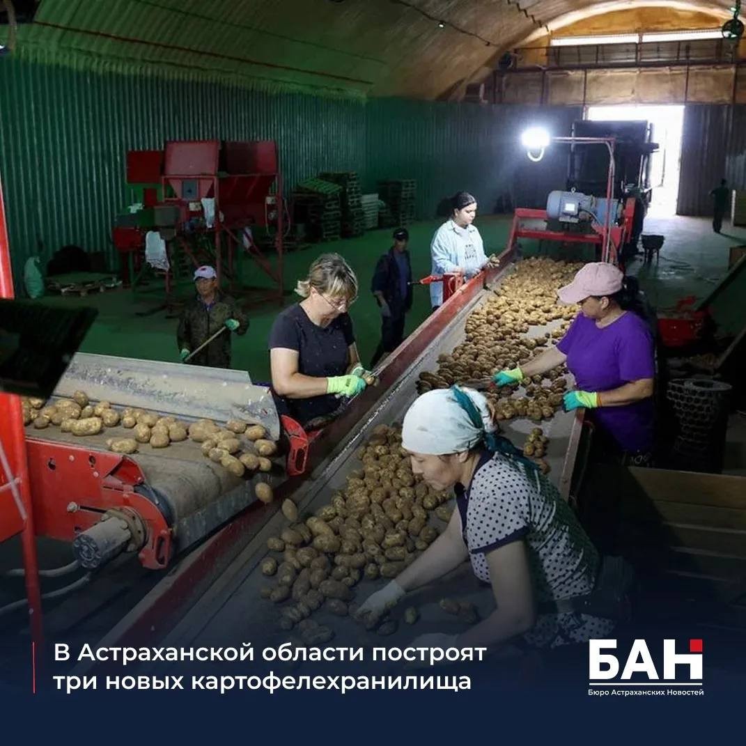 📌 Губернатор Игорь Бабушкин посетил предприятие «МАПС» в Енотаевском районе, где реализуется инвест