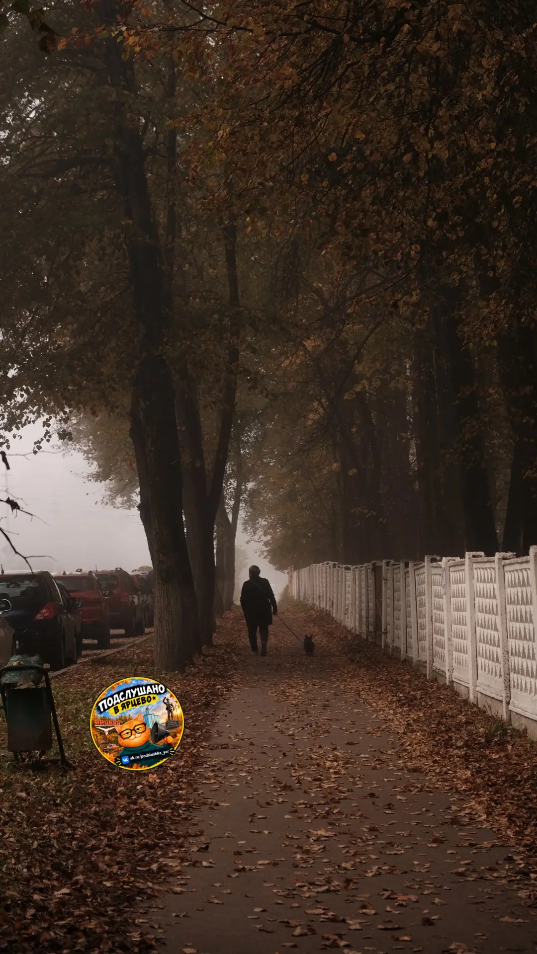 🌫️ Октябрь в Ярцево начался с туманных утр