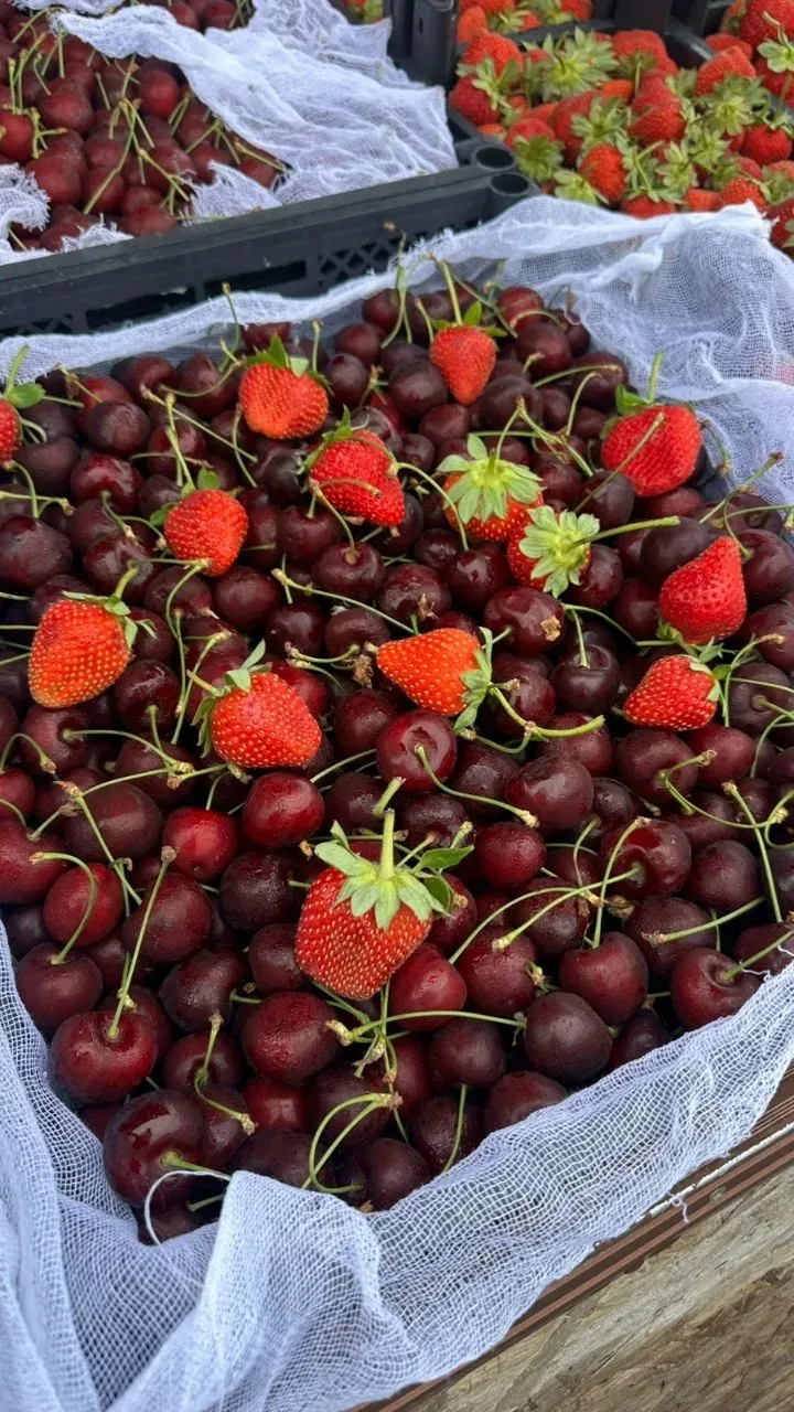 Поступление ягод от Lot_berry