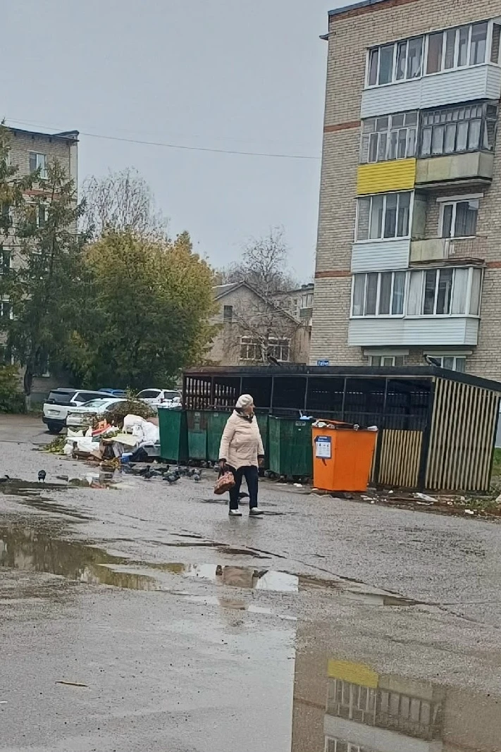 Благоустроили по программе губернатора площадки ТБО по ул. Труда на Машановке. Несмотря...