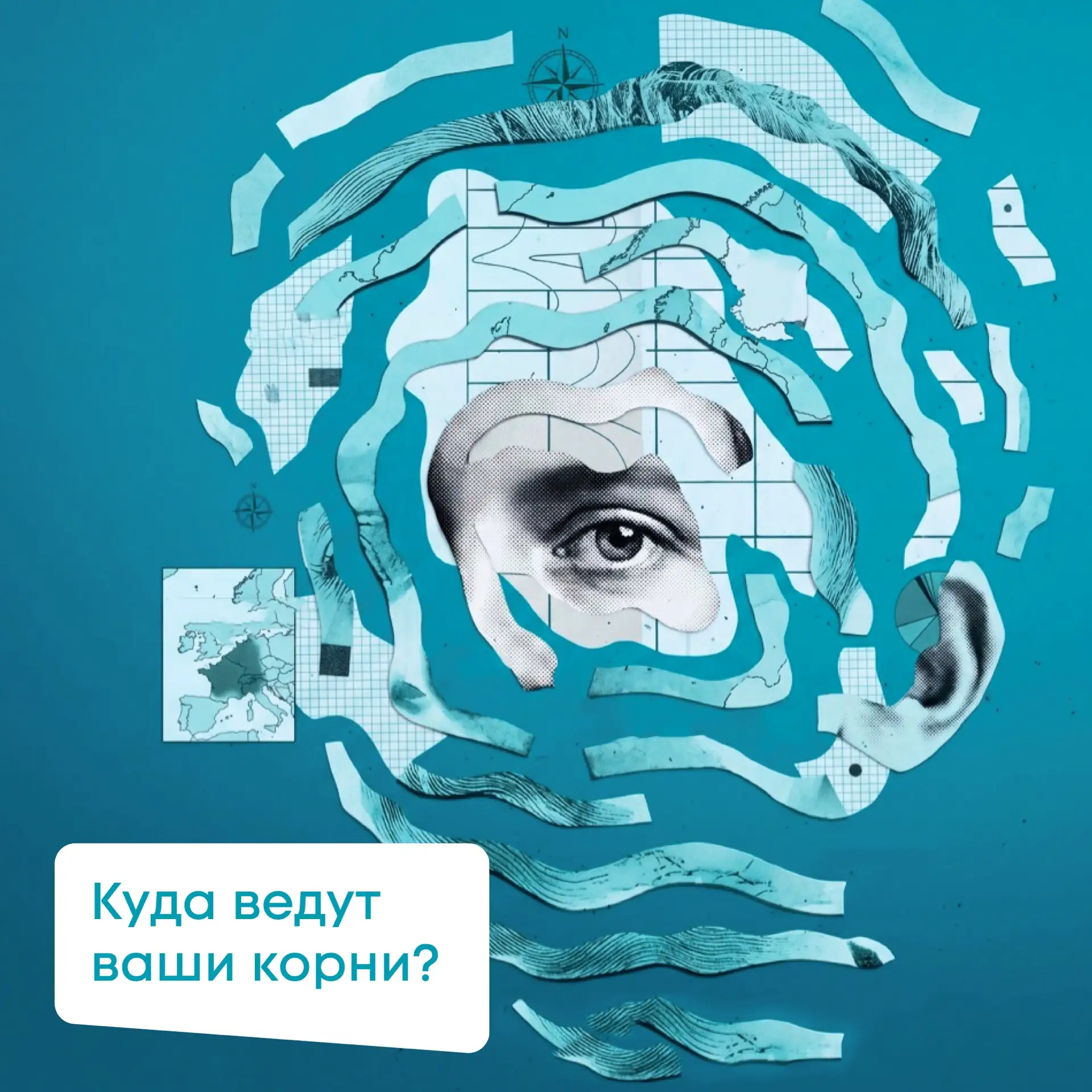«Хочу узнать свои корни!»