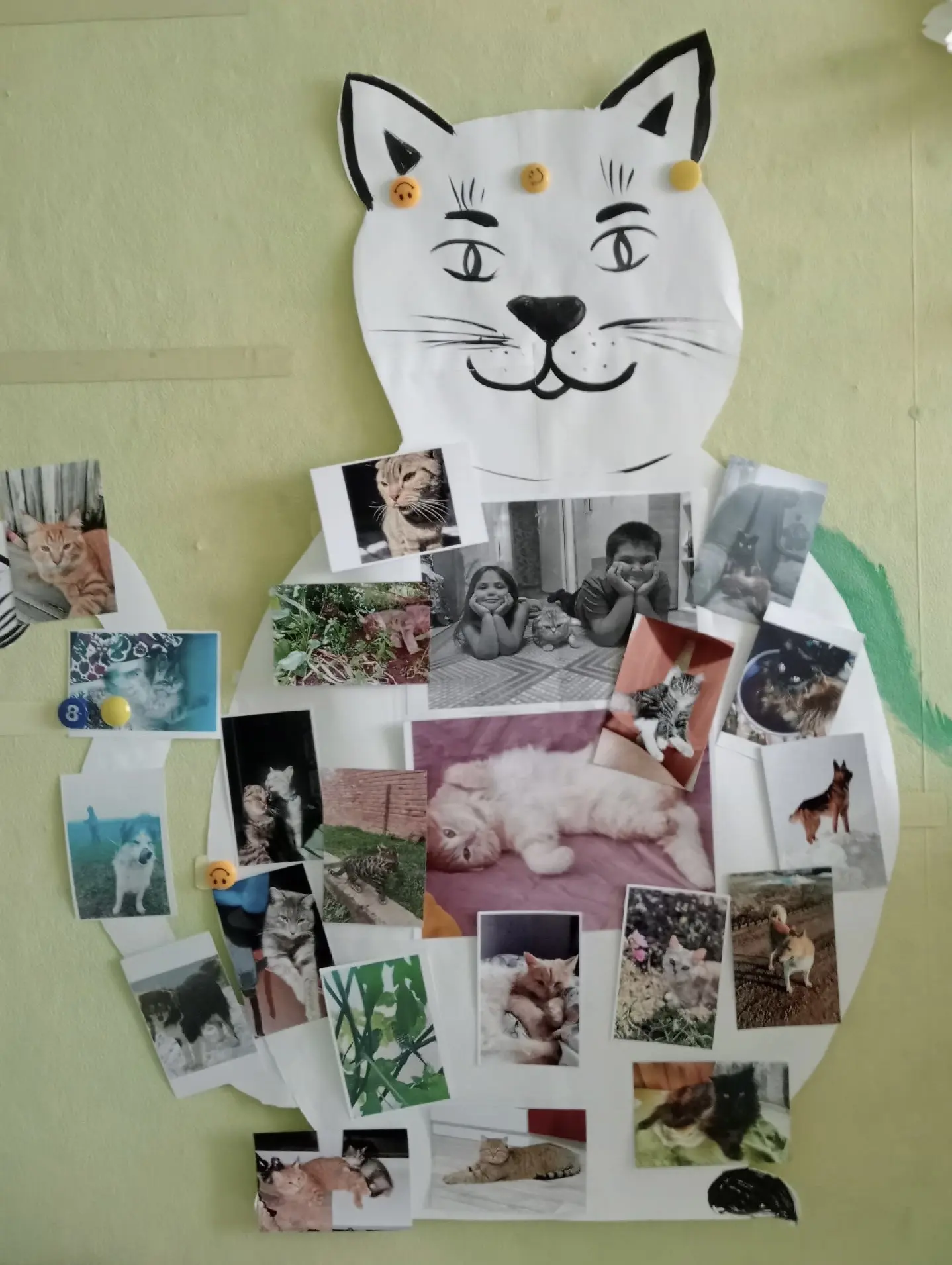🌼 В группе «Ромашка» состоялась фотовыставка «Мой питомец» 🐱. На выставке были представлены фото л