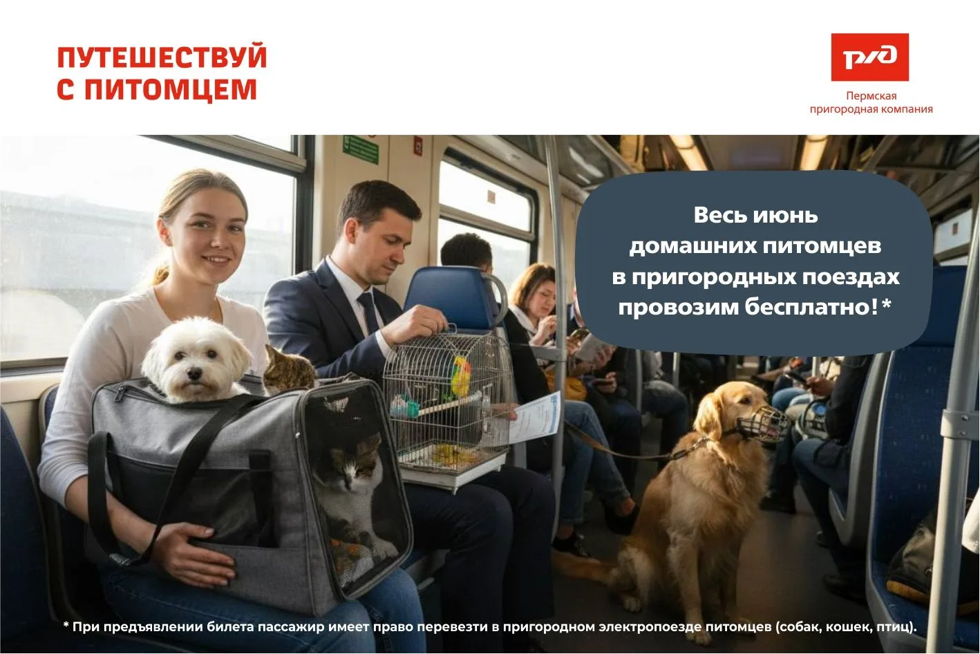 Весь июнь везем питомцев бесплатно 
В первый месяц лета предлагаем вам путешествовать вместе с домаш