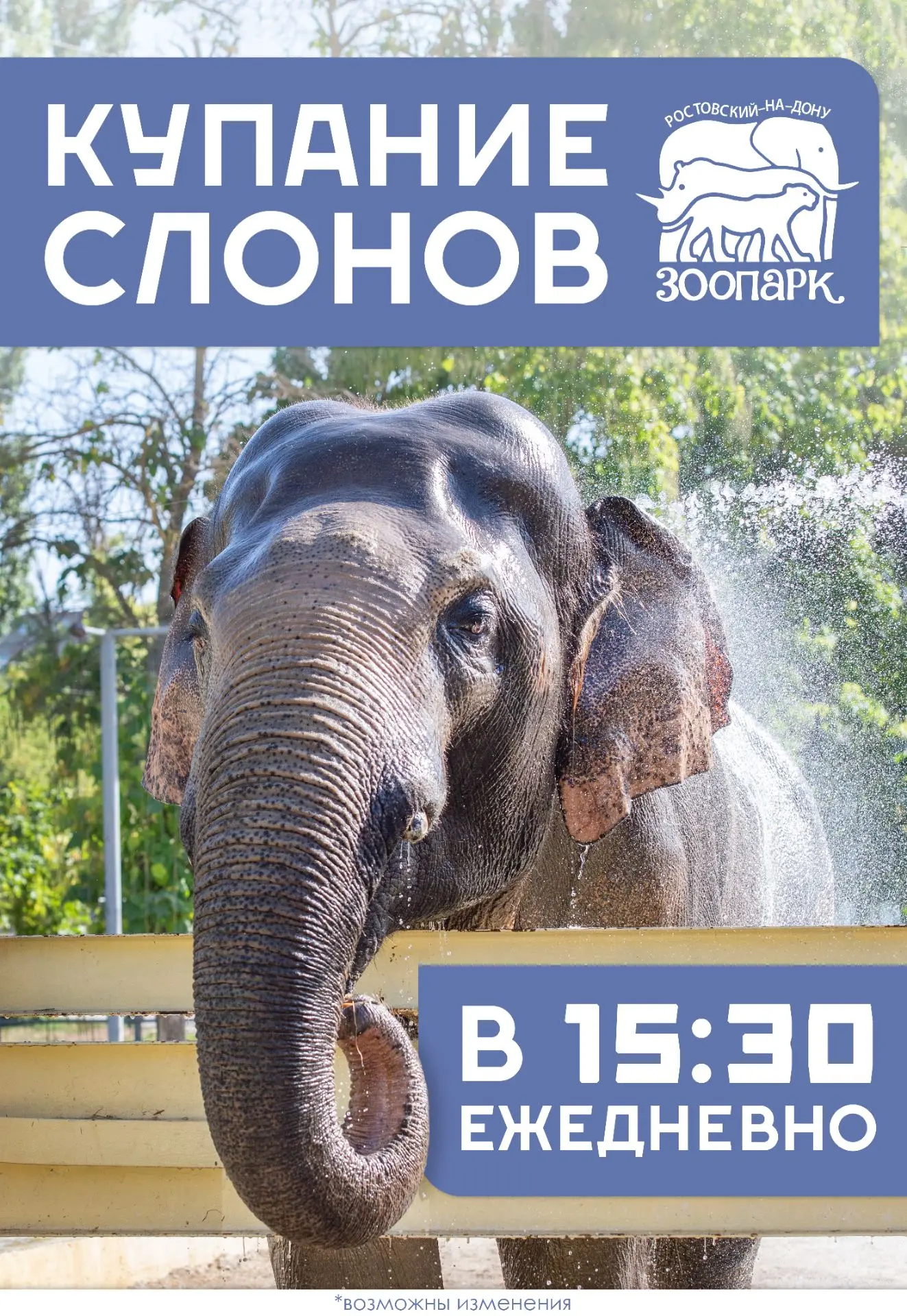 ☀️ Утро вторника и субботы принадлежит полярным медведям, а вторая половина каждого дня — безраздель