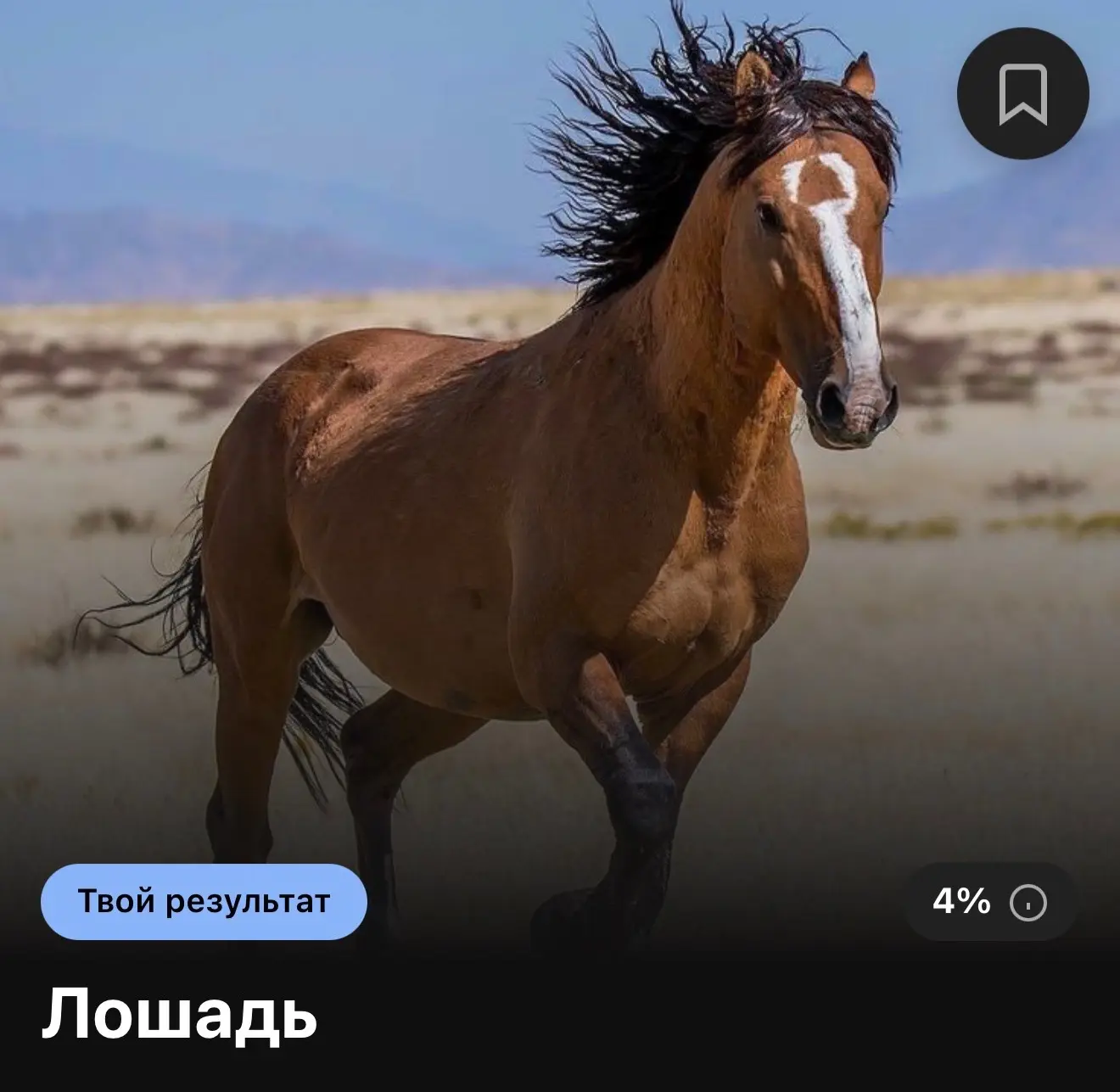 🙈 Какое твоё тотемное животное?