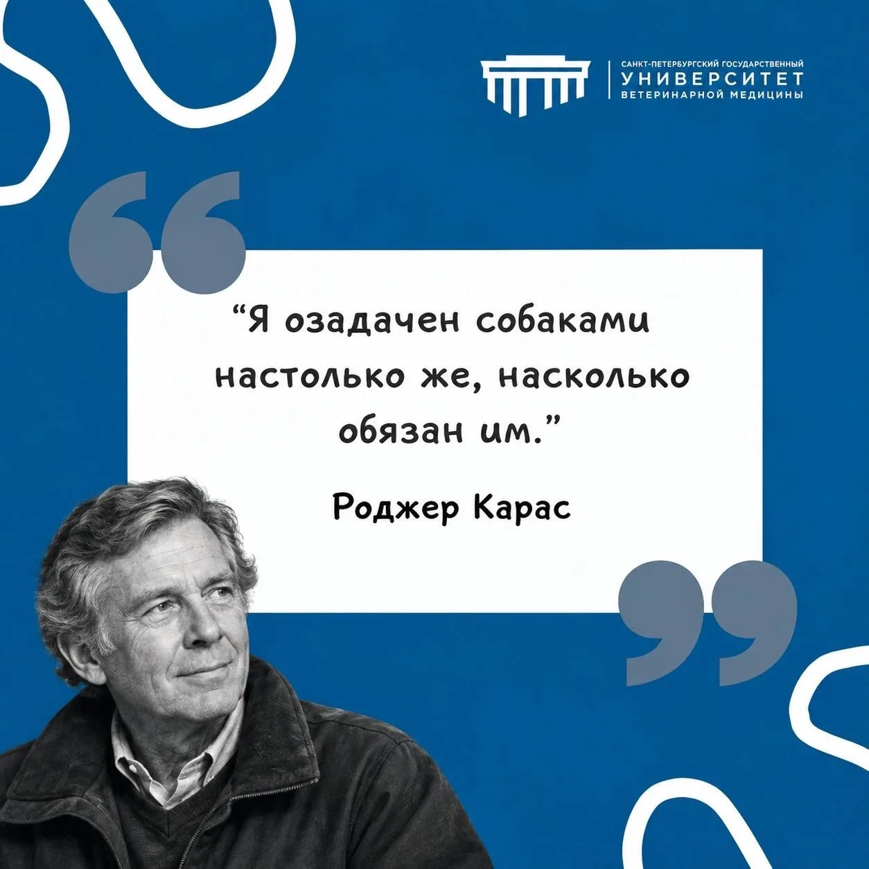 #фразадня #СПбГУВМ
