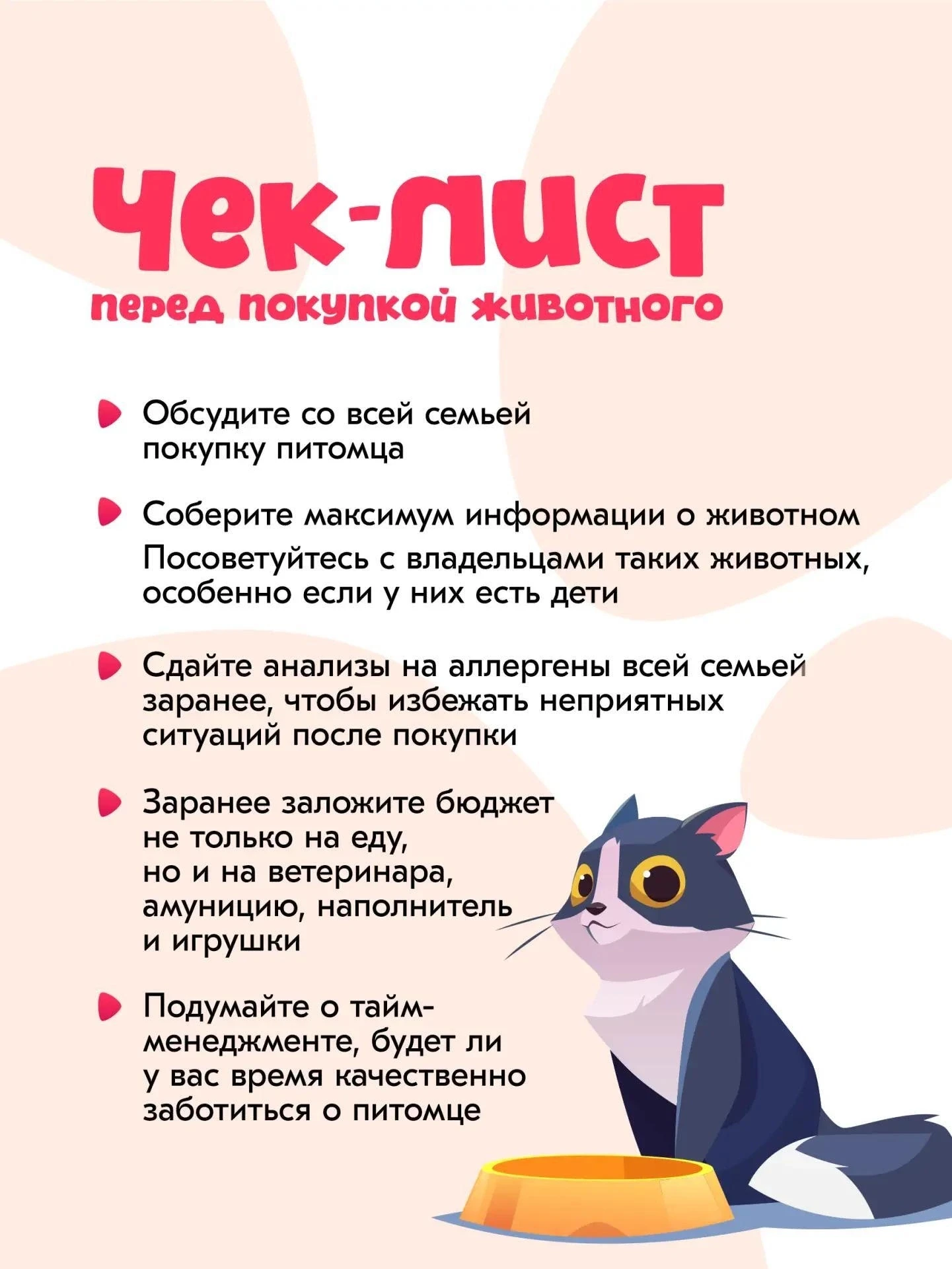 🐹 Моя пушистая семья