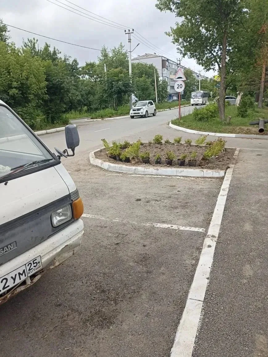 НОВОШАХТИНСКИЙ СТАНОВИТСЯ ЗЕЛЕНЕЕ: В ПОСЕЛКЕ ИДЕТ ВЫСАДКА КУСТАРНИКОВ