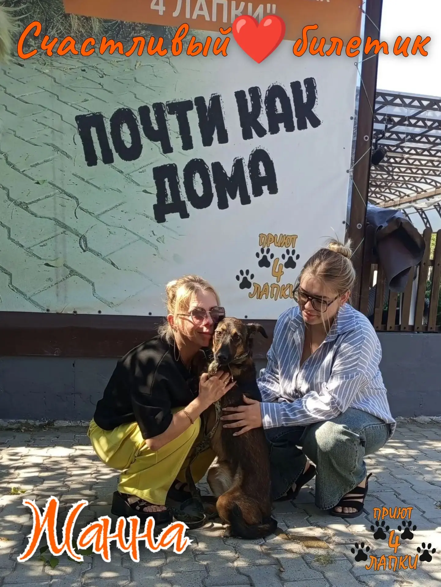В начале марта Жанну подобрала на улице неравнодушная девушка и привезла к нам в приют....