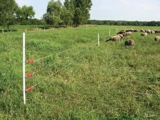 ⚡⚡⚡В Башкирии: подростка «ударил» электропастух