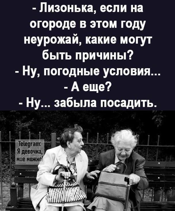 МИР ОТКРЫТОЧЕК | ПОДПИСАТЬСЯ!