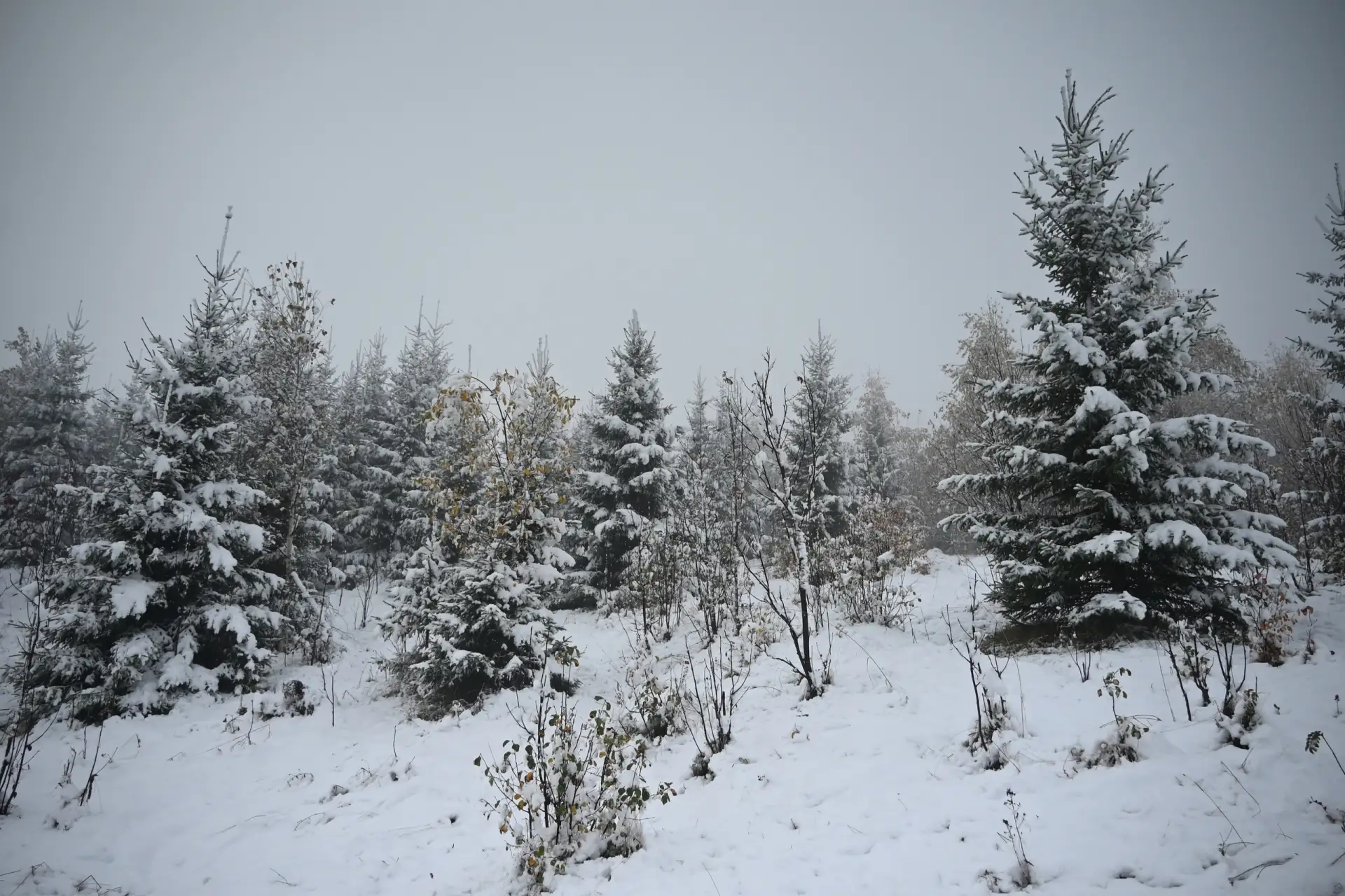 Вот такая атмосфера❄️на краю Свердловской области, буквально в 250 км от Богдановича.