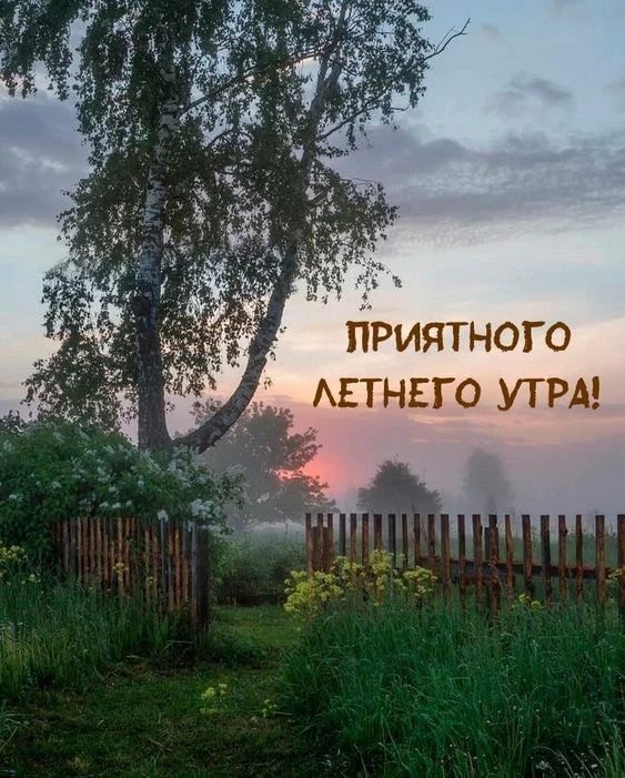 Понравилась открытка? Оставьте реакции ❤️