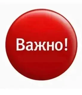 ❗️ «Вечером сын пришёл с телефоном: «Мам, тут вакансия курьера на лето — опыт не требуе...