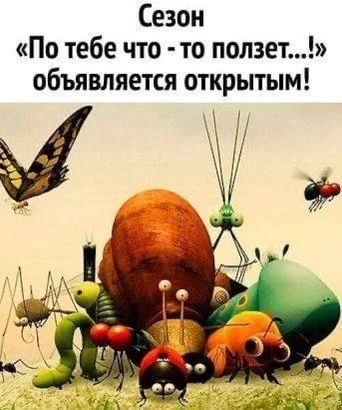 #юмор
Картинки на каждый день