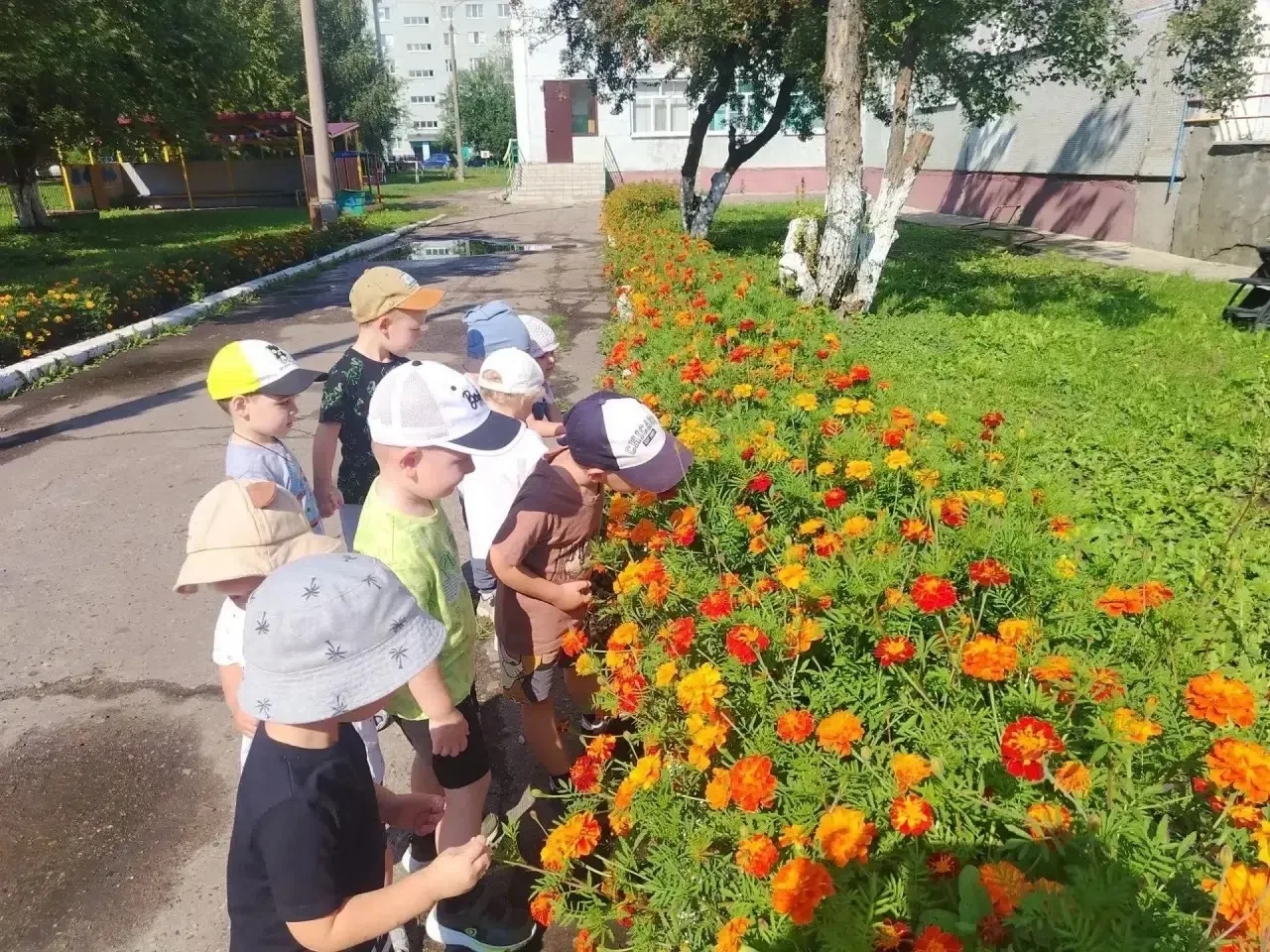 Сегодня в нашем саду случился настоящий ЦВЕТОЧНЫЙ БУМ! 🌸🌼🌺