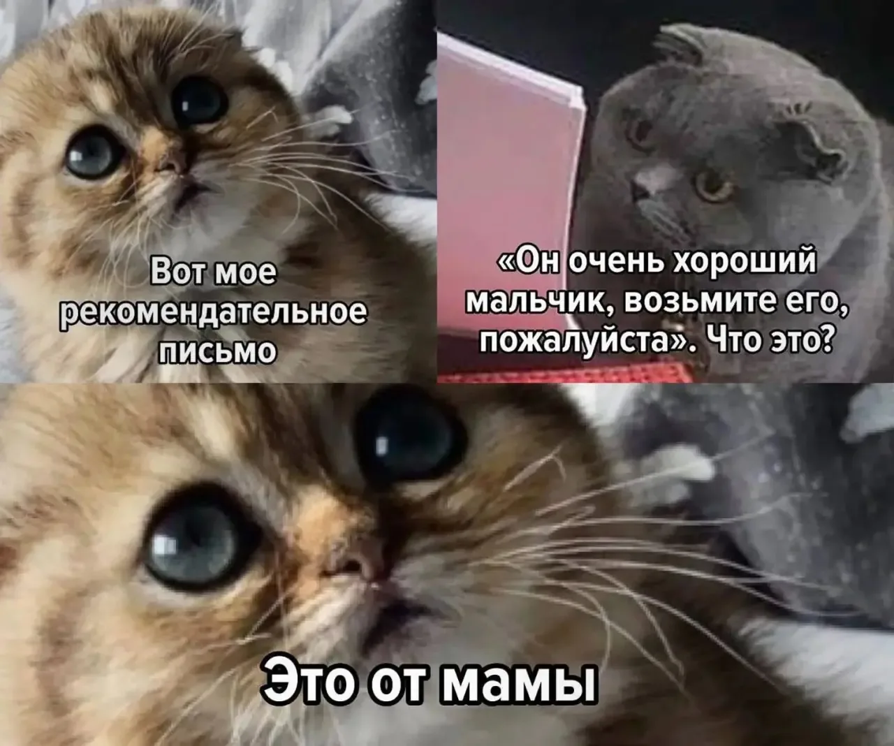 🤝 Россияне стали чаще искать работу через знакомых, потому что им не перезванивают эйчары