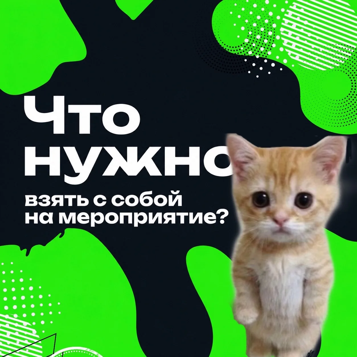 Полезное, если вдруг вы впервые купили билет по Пушкинской карте