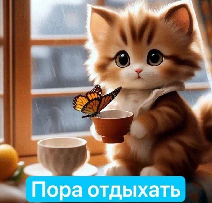 ~~~~~~~~~~~~~~~~~~~
