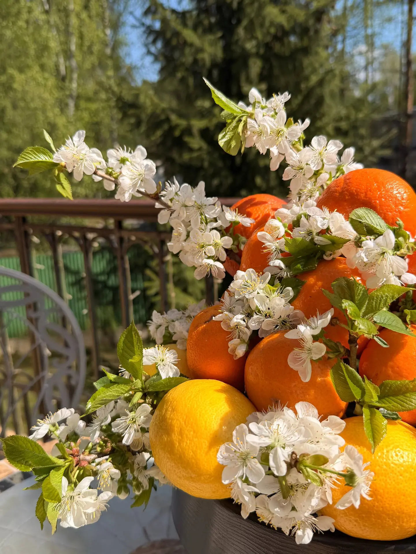 Овощная грядка на подложке из пхали🥬