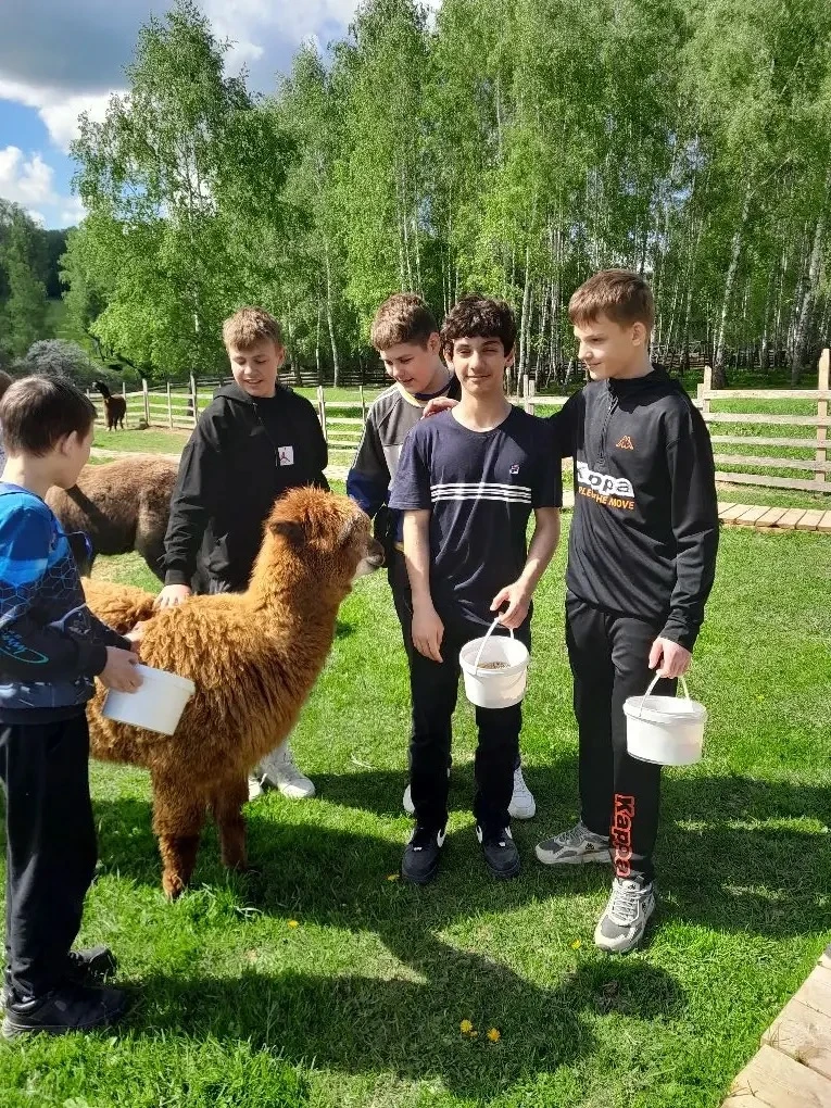 🦙🌊 6В провел отличные выходные!  Сначала ребята отправились на ферму альпак: знакомство с милейшими 