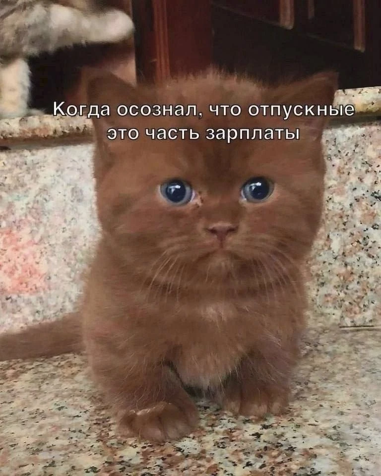 Коллеги, всем доброе утро!*