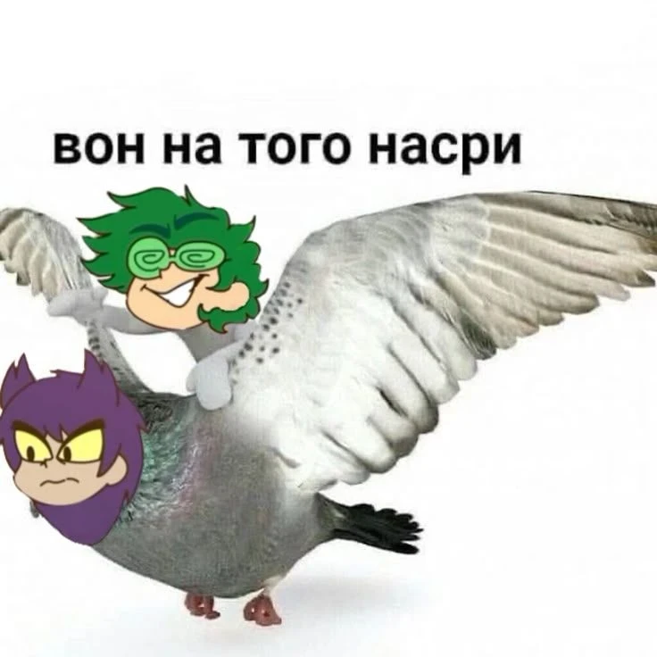 Немного мемов 😎